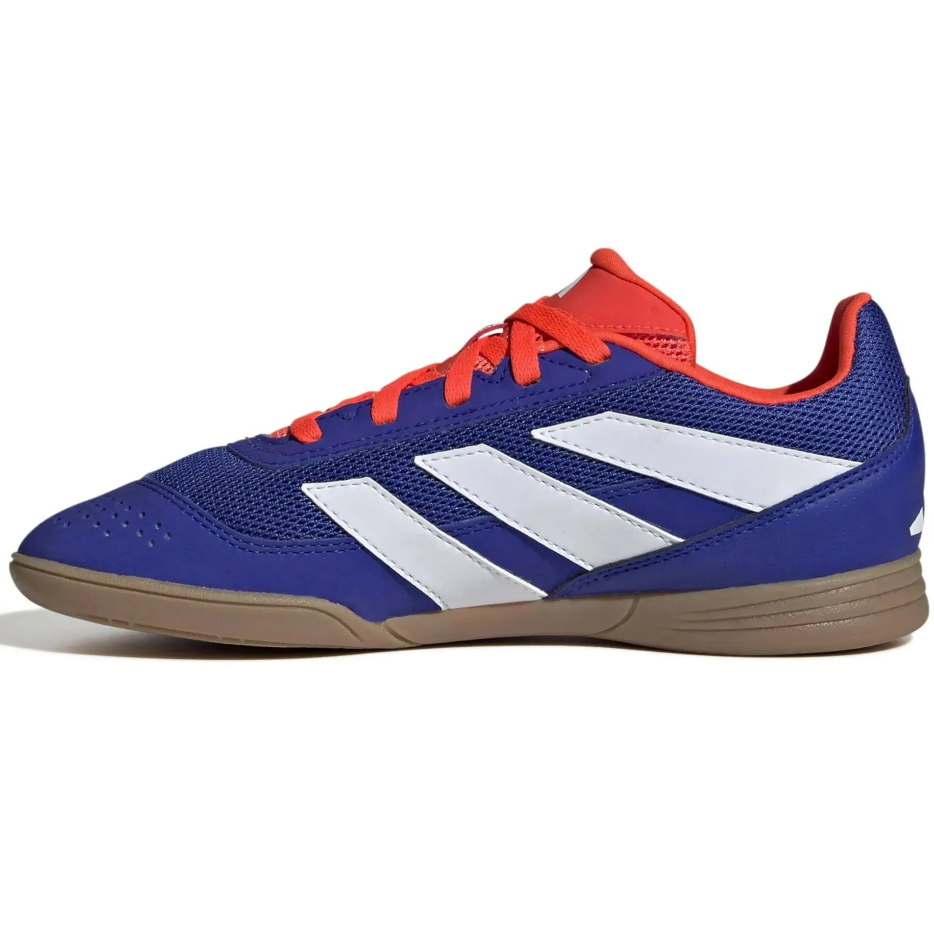 adidas Kids Predator Club Indoor Sala - Advancement Pack (FA24) Fuzzy Boots Near Me
