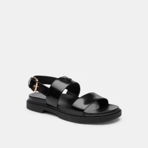 Sandals Aruba Coach Two Band Sandal Black