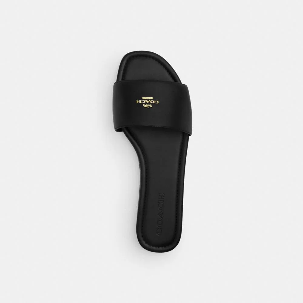 Coach Slide Sandal Black Shark Sandals