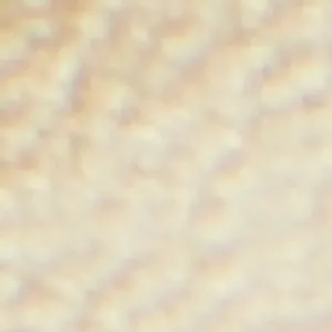 Luxe Best Waterproof Sandals