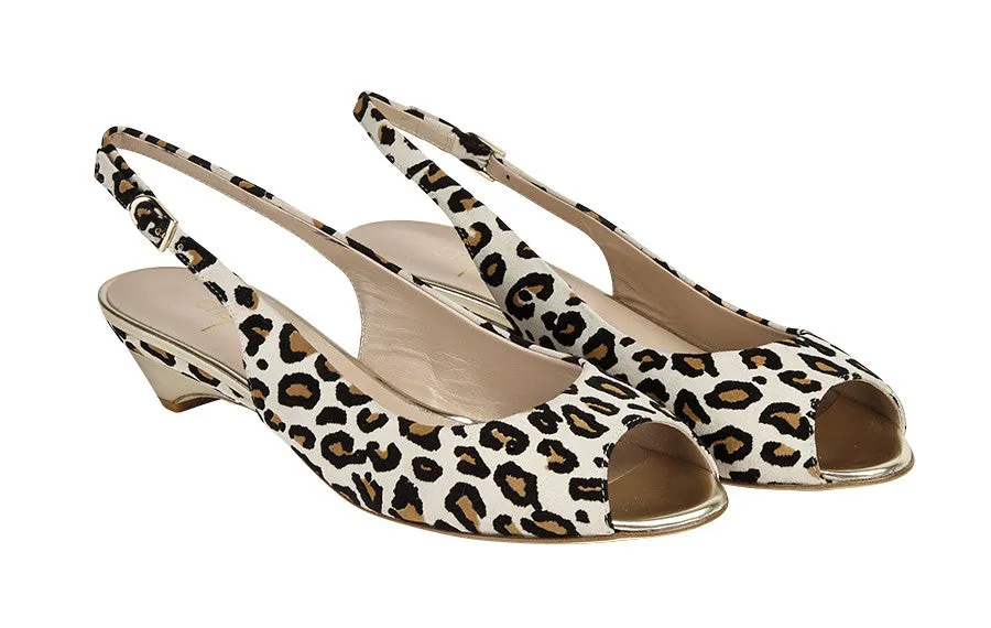 Women Dress Shoes Mdf Lionking