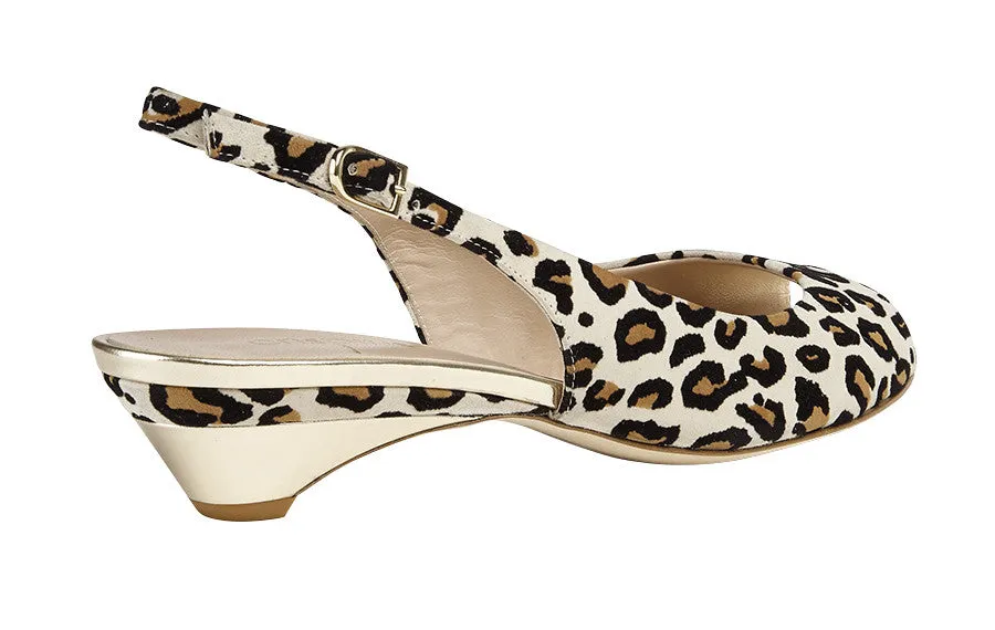 Dress Shoes Size 10.5 Mdf Lionking