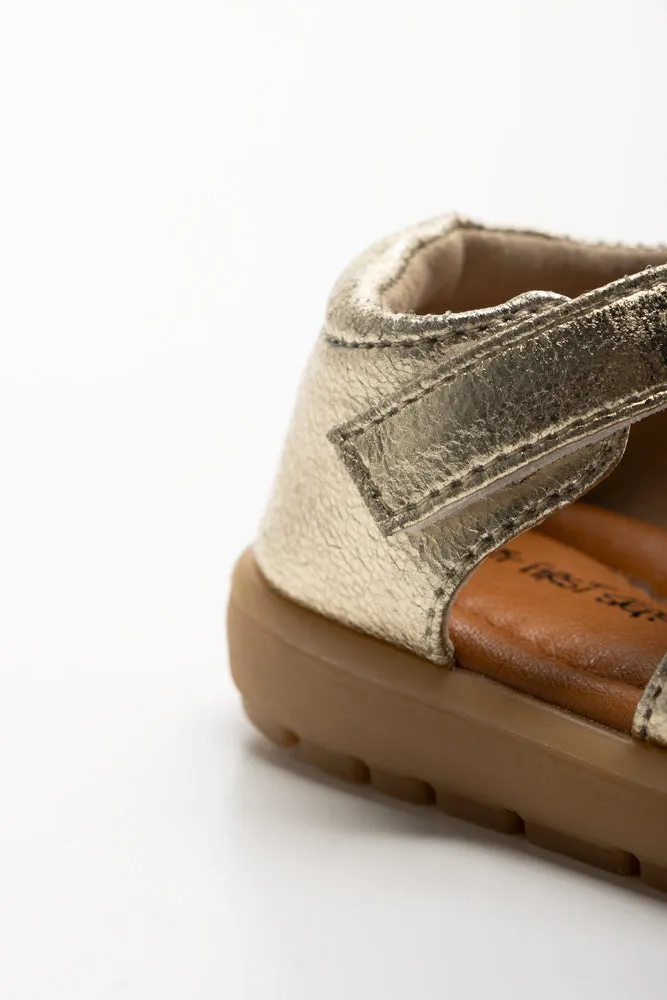 Butterfly Close Back Sandal Gold Sandals With Thick Bottom