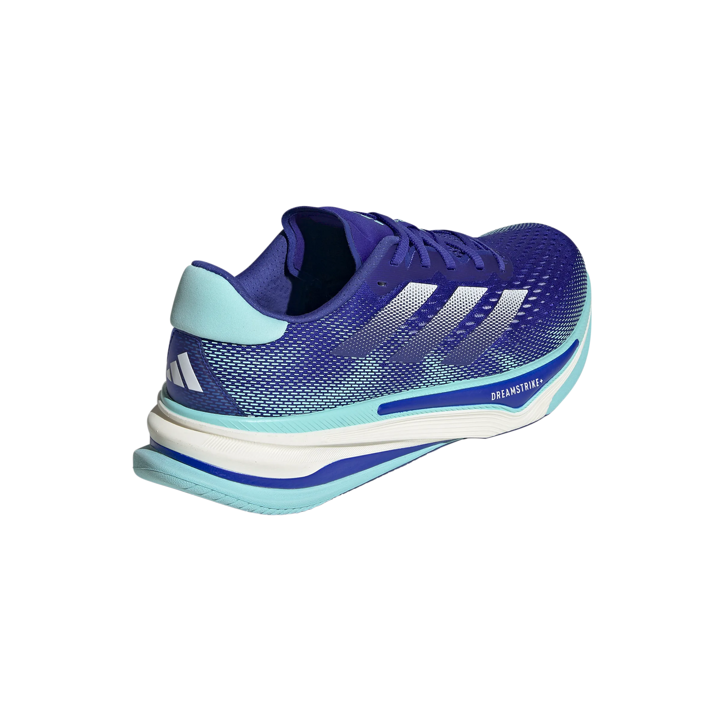 Running Shoes Worcester Supernova Prima - Men's